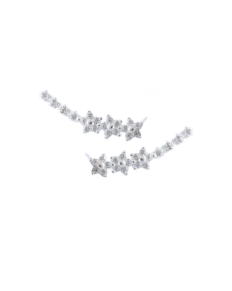 Sweet and Star Earrings