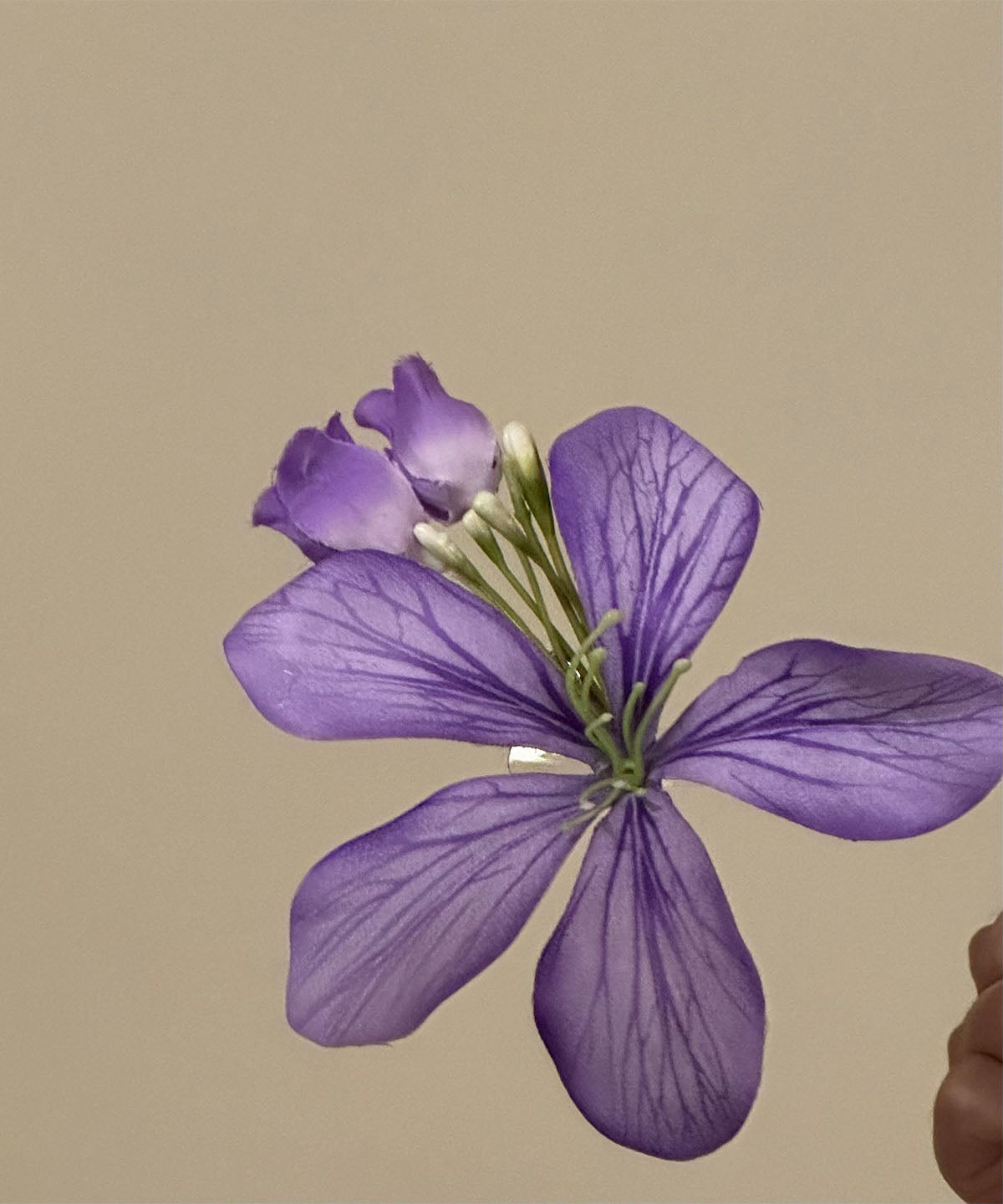 Original Design Purple Metal Hairpin
