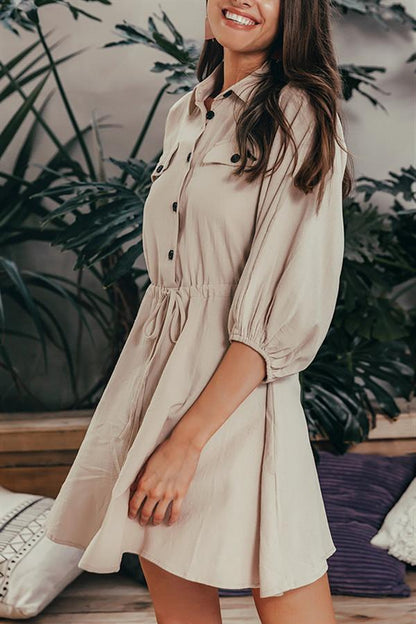 Linen Lantern Sleeve Dress