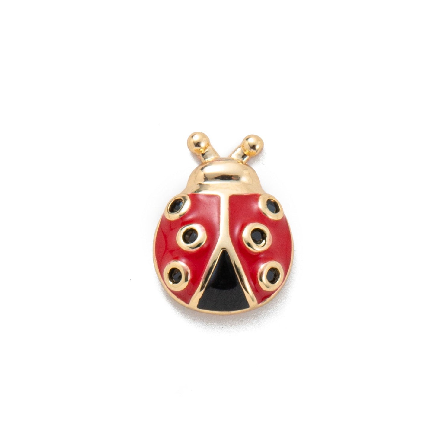 Floating Charm Locket Necklace and Mini Charms