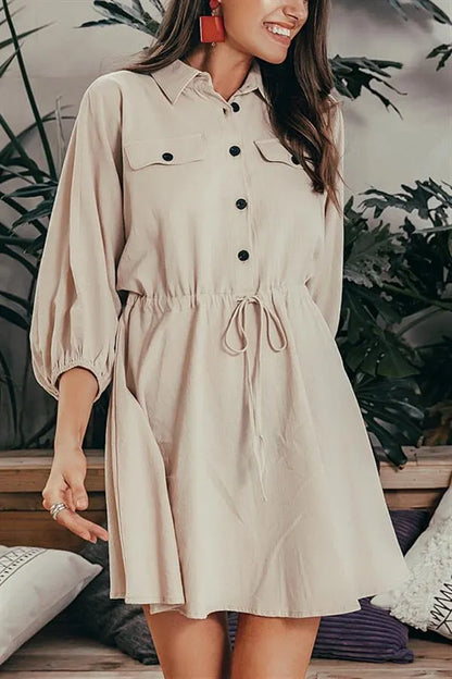Linen Lantern Sleeve Dress