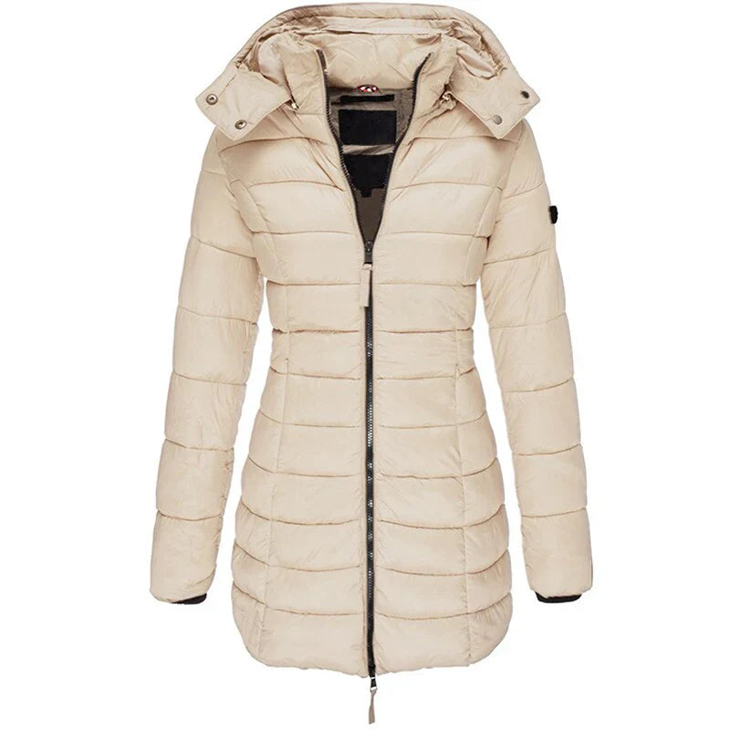 Beautifully Crafted Jacket