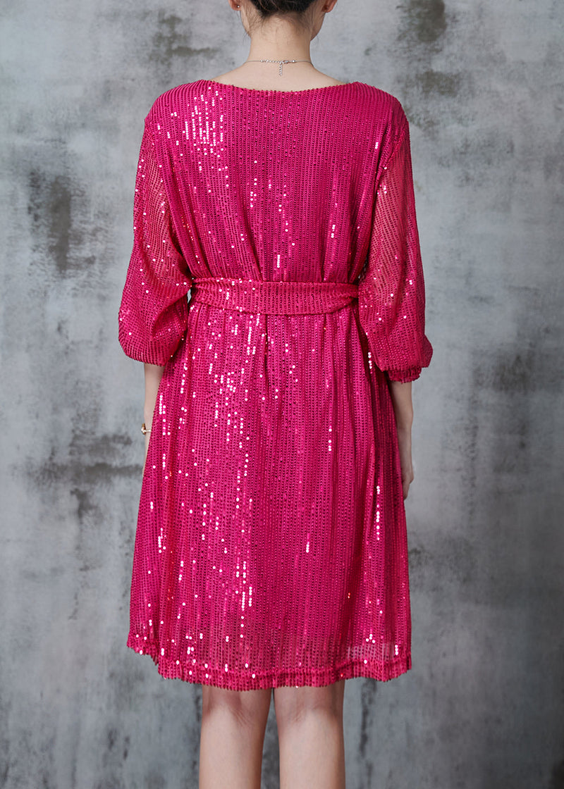 Diy Rose Sequins Tie Waist Tulle Day Dress Fall