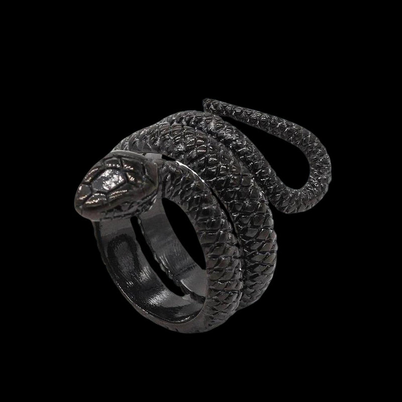 Winding Snake Steel Ring