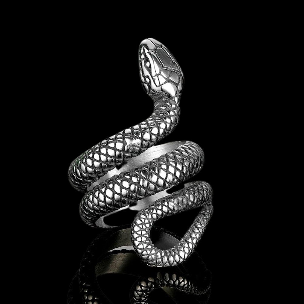Winding Snake Steel Ring