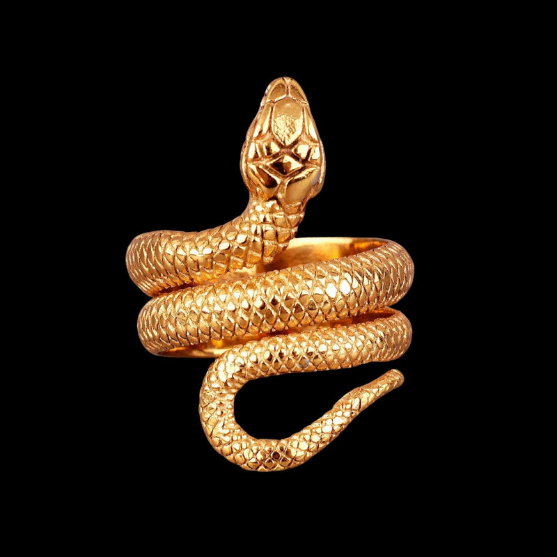 Winding Snake Steel Ring